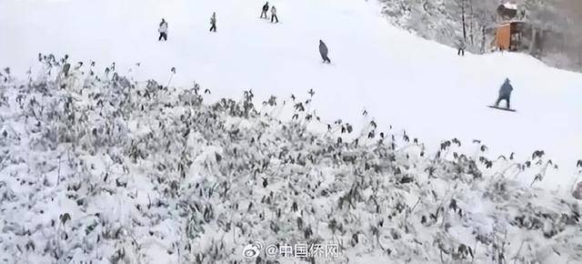 窒息去滑雪这些问题要注意pg模拟器3到5分钟就会(图4)