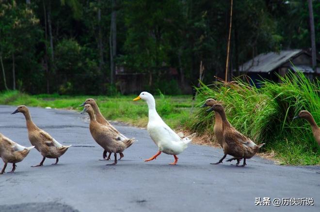 才25元！哪来的利润？能放心吃吗？pg电