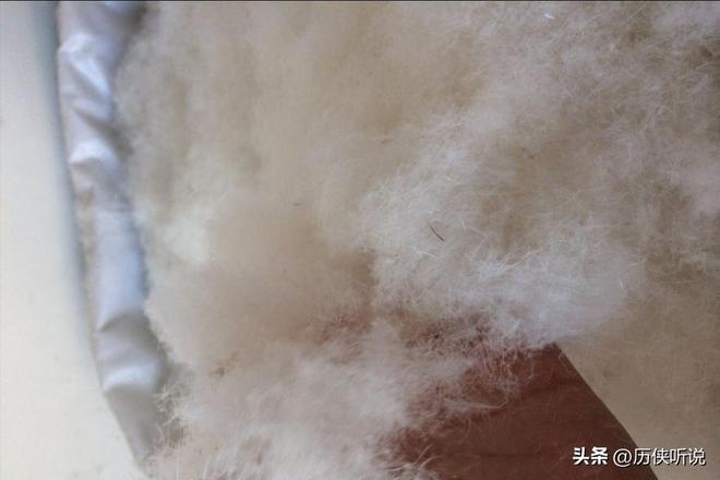 才25元！哪来的利润？能放心吃吗？pg电子平台活鸭上百元一只做成烤鸭(图12)